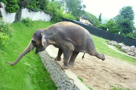 Győr ZOO Xantus János (Maďarsko)