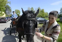 jazda na koči s konom Havran Hotel Thermal Varga *** jazda na koči s konom Havran Hotel Thermal Varga ***