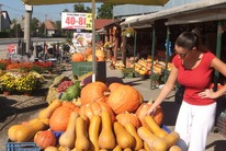 Navštívte tržnicu v Dolnom Bare 10km od Veľkého Medera